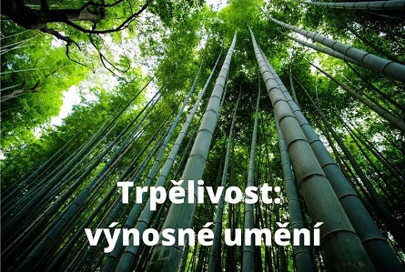 Trsy rostoucího bambusu, Neznámý, Neznámý