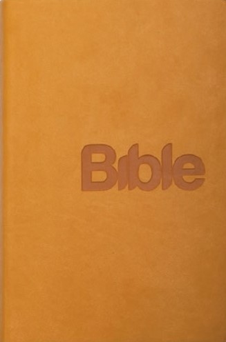 Bible 21.století - žlutá