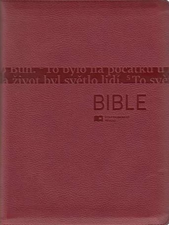 Bible ekumenická bez DT vínová se zipem